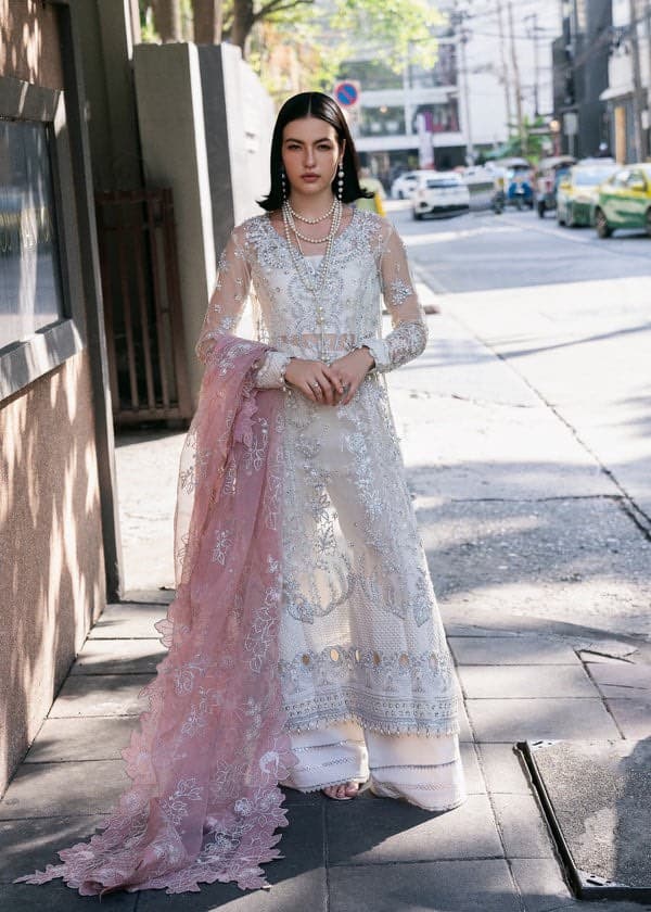 Sania Luxury Embroidered Organza - View 1